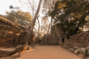 91-cambogia-2019-020