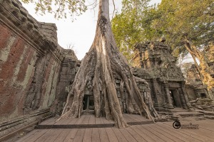 92-cambogia-2019-011