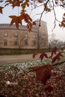 pavia-011213-02