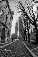 pavia-011213-05-BN