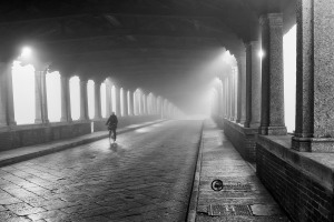 pavia-060120-04