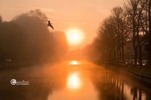 pavia-211118-03