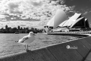 australia-01
