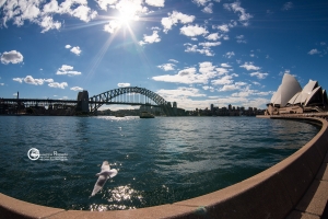australia-04