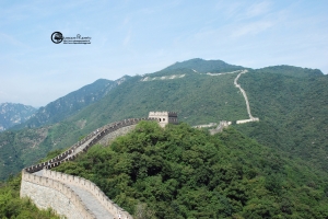 cina-062