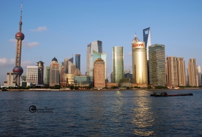cina-236