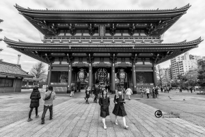 japhaw-096