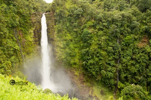 hawaii-2018-014