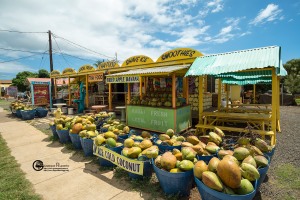 hawaii-2018-100