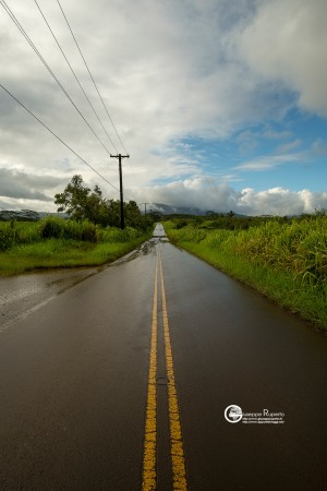 hawaii-2018-106