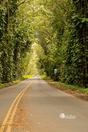 hawaii-2018-123