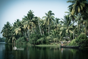 india-375