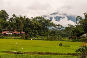 indonesia-012