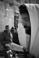 israele-125