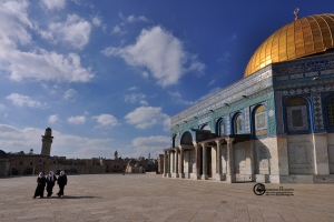 israele-129
