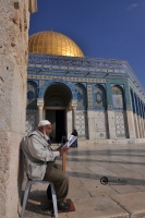 israele-131