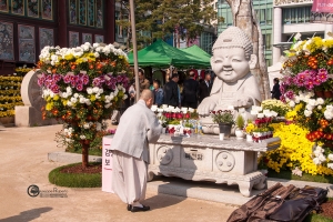 korea-010