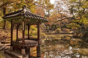 korea-136