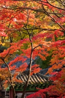 korea-140