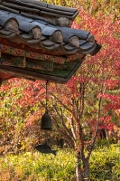korea-167