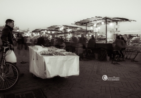 marrakech-1213-076