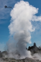 nzfj-035