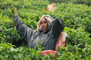 sri-lanka-092