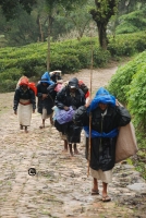 sri-lanka-094