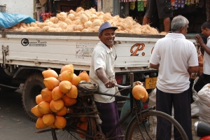 sri-lanka-149