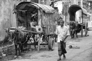 sri-lanka-153