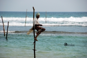 sri-lanka-169