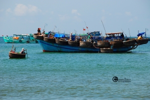 Vietnam215